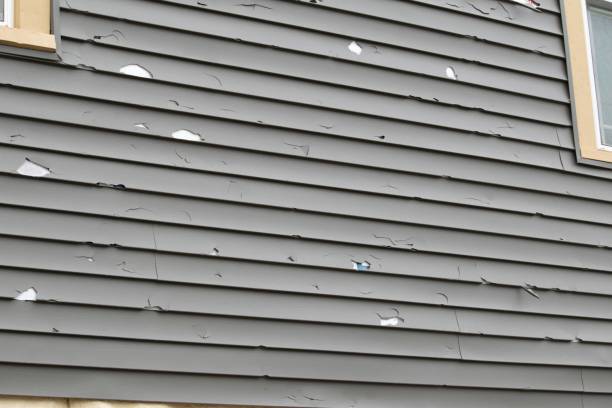 Best Yard Waste Removal  in Bally, PA